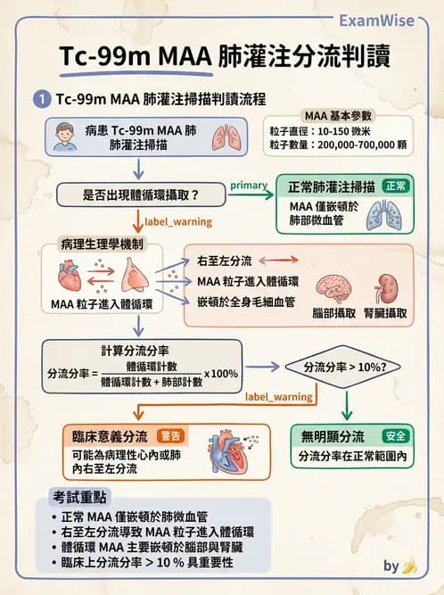 放射 - 肺部與感染造影 - AI 圖文解析預覽