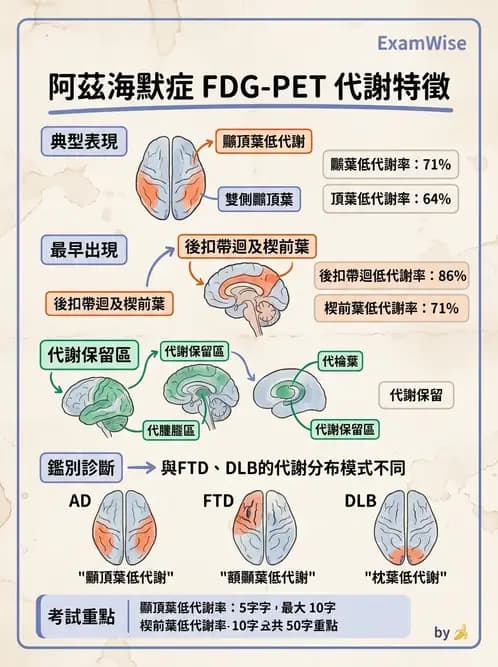 放射 - FDG PET造影 - AI 圖文解析預覽