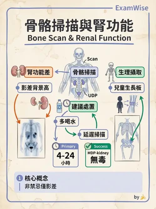 放射 - 骨骼造影 - AI 圖文解析預覽