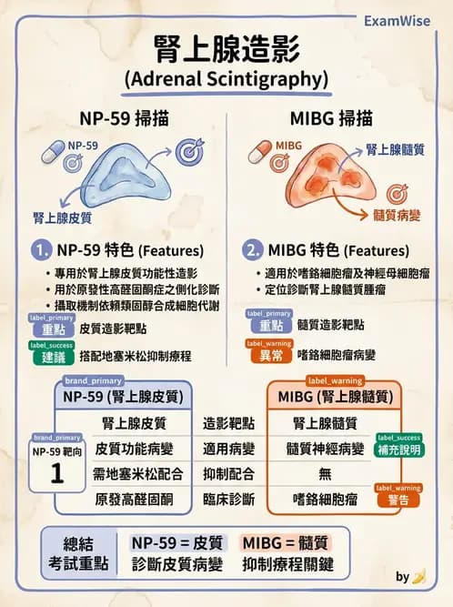 放射 - 腫瘤與內分泌造影SPECT藥物 - AI 圖文解析預覽