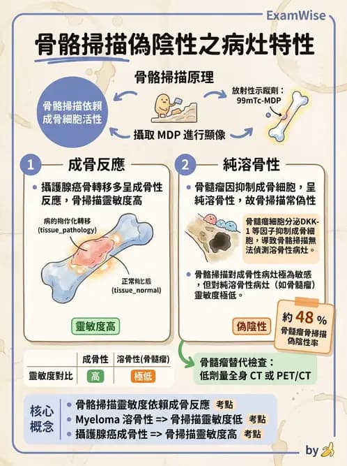 放射 - 骨骼造影 - AI 圖文解析預覽