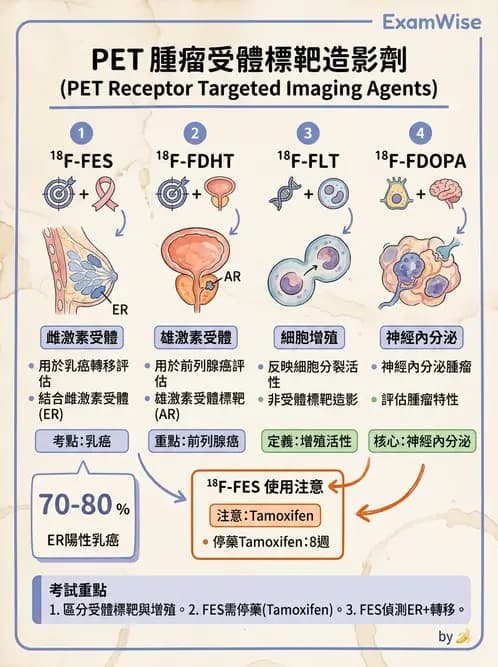 放射 - 腫瘤PET藥物 - AI 圖文解析預覽