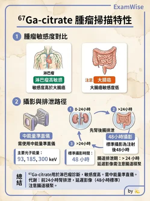 放射 - 標靶受體腫瘤造影 - AI 圖文解析預覽