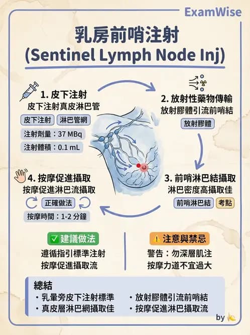 放射 - 副甲狀腺與前哨淋巴結造影 - AI 圖文解析預覽