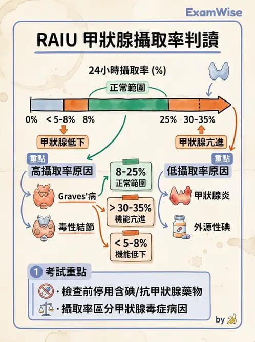 放射 - 甲狀腺造影 - AI 圖文解析預覽