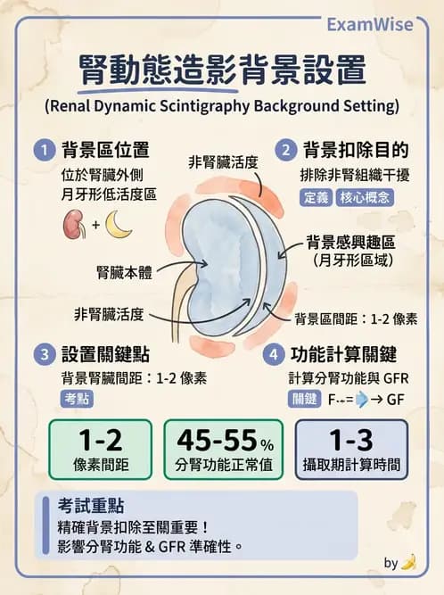 放射 - 腎臟造影 - AI 圖文解析預覽