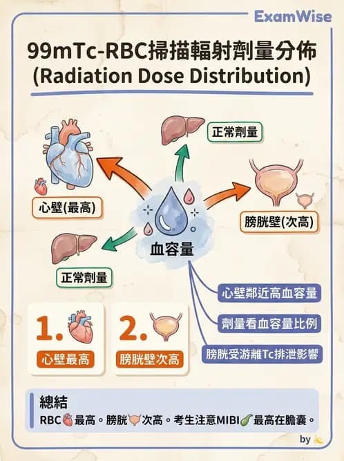 放射 - 體內吸收劑量 - AI 圖文解析預覽