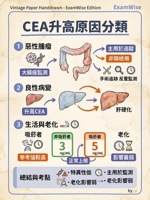 放射 - 免疫分析品管與臨床應用 - AI 圖文解析預覽