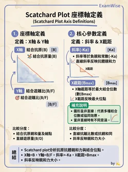 放射 - RIA與IRMA分析原理 - AI 圖文解析預覽