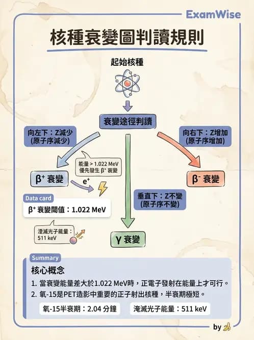 放射 - 蛻變類型與計算 - AI 圖文解析預覽