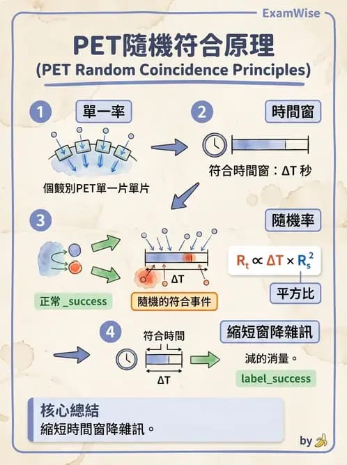 放射 - PET造影原理與重組 - AI 圖文解析預覽