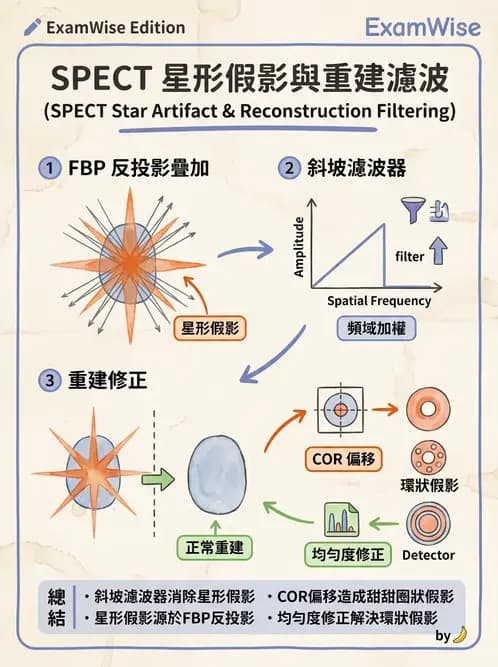 放射 - SPECT造影原理與重組 - AI 圖文解析預覽