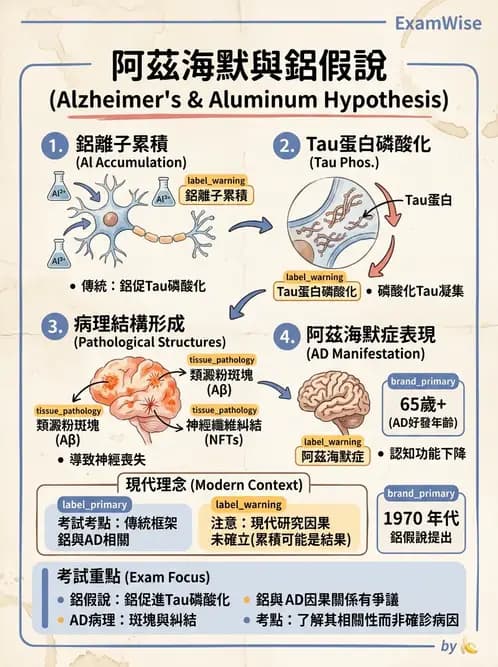 物治 - 神經系統生理 - AI 圖文解析預覽