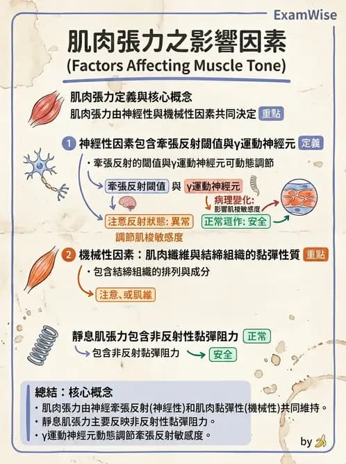 物治 - 肌肉力學與感覺運動控制 - AI 圖文解析預覽