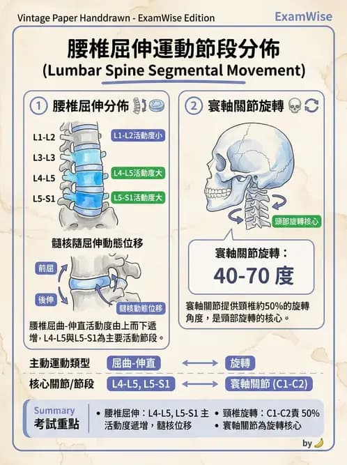 物治 - 軀幹肌動學與生物力學 - AI 圖文解析預覽