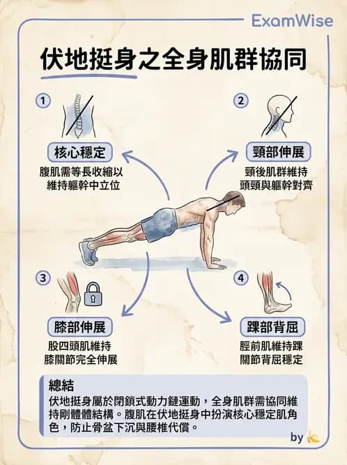 物治 - 競技運動與肌力訓練動作分析 - AI 圖文解析預覽