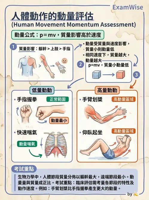 物治 - 關節運動學與生物力學計算 - AI 圖文解析預覽