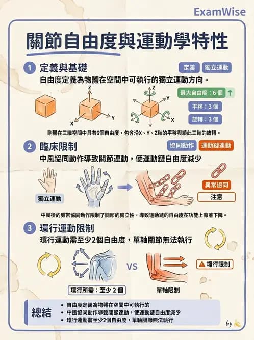 物治 - 關節運動學與生物力學計算 - AI 圖文解析預覽