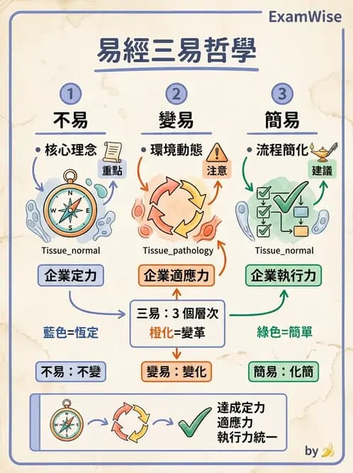 物治 - 管理理論與組織 - AI 圖文解析預覽