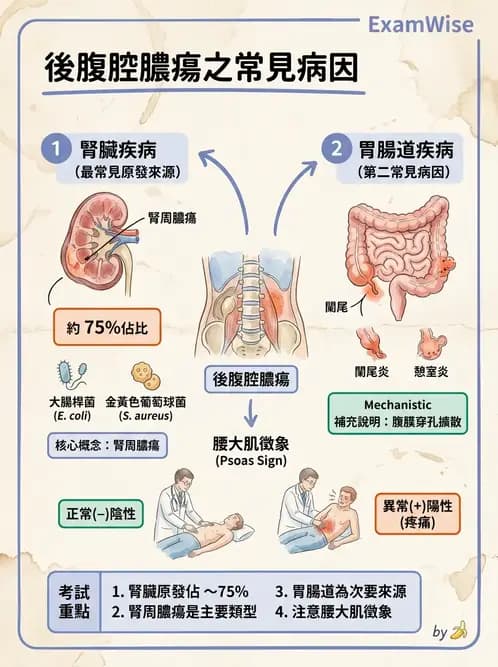 物治 - 骨科與外科疾病 - AI 圖文解析預覽