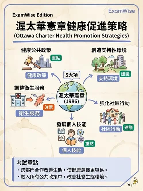物治 - 健康政策與衛生行政 - AI 圖文解析預覽