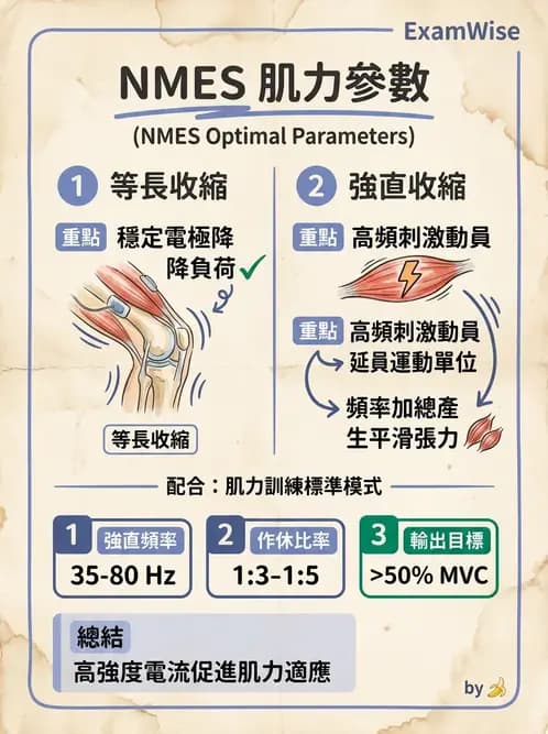 物治 - 神經肌肉電刺激 - AI 圖文解析預覽