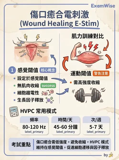 物治 - 高壓間歇直流電 - AI 圖文解析預覽