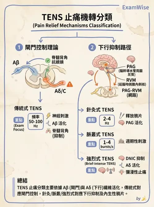物治 - 經皮電刺激與電療基礎 - AI 圖文解析預覽