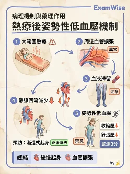 物治 - 溫度療法 - AI 圖文解析預覽