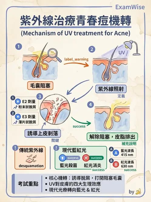 物治 - 紫外光 - AI 圖文解析預覽