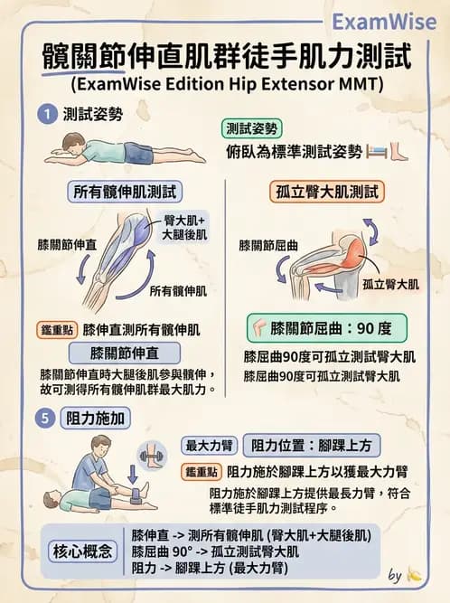 物治 - 下肢徒手肌力測試 - AI 圖文解析預覽