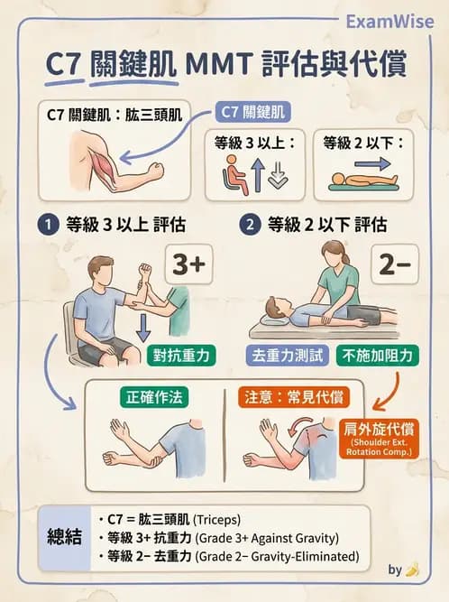 物治 - 上肢徒手肌力測試 - AI 圖文解析預覽