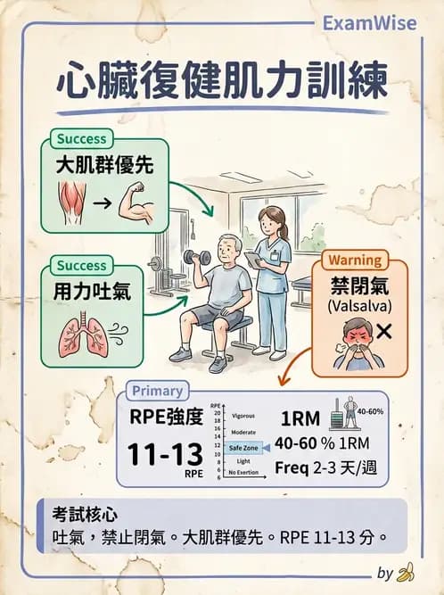 物治 - 肌力訓練方法 - AI 圖文解析預覽