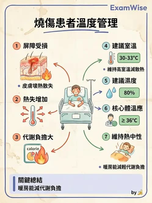 物治 - 物理因子特殊應用 - AI 圖文解析預覽