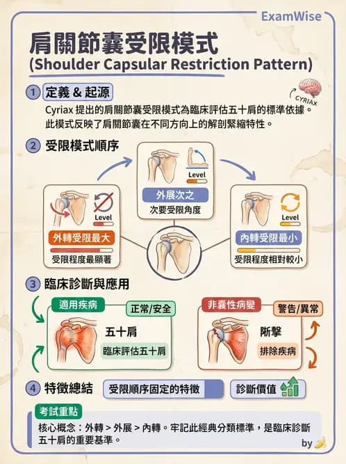 物治 - 鬆動術基礎概念與原則 - AI 圖文解析預覽