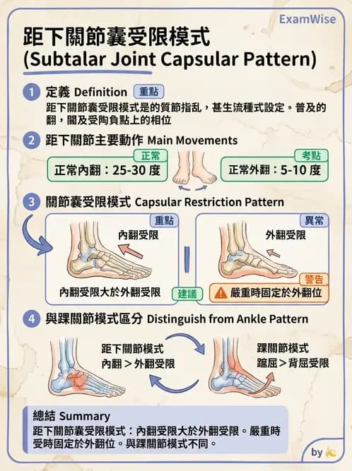 物治 - 鬆動術基礎概念與原則 - AI 圖文解析預覽