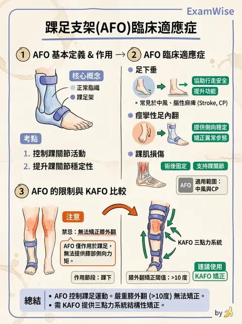 物治 - 裝具與矯具 - AI 圖文解析預覽