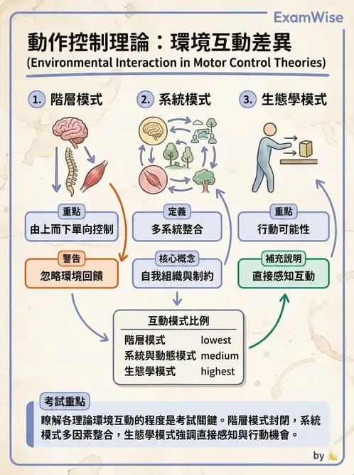 物治 - 動作控制理論 - AI 圖文解析預覽