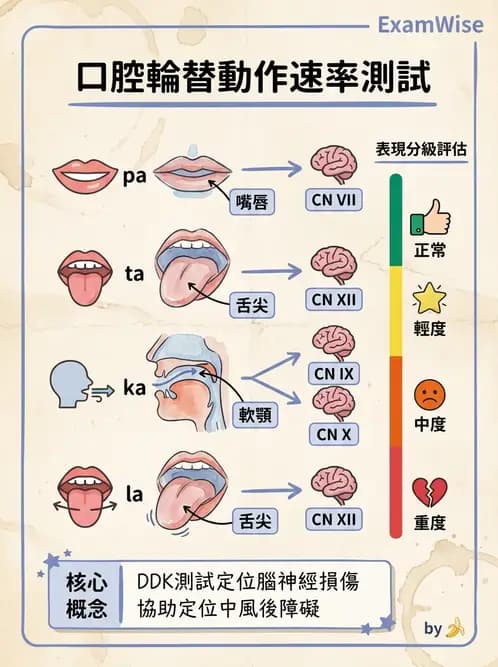 物治 - 神經物理治療評估工具 - AI 圖文解析預覽