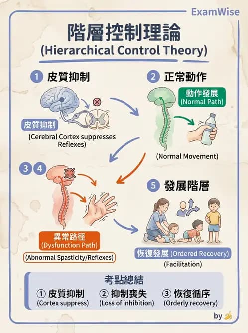 物治 - 神經治療學派技術 - AI 圖文解析預覽