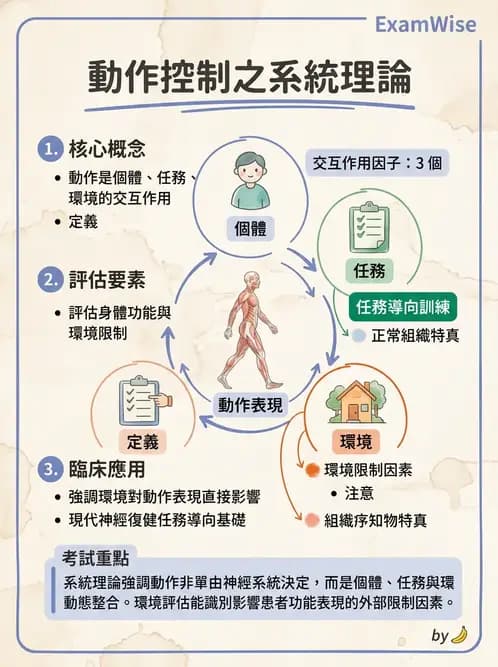 物治 - 動作控制理論 - AI 圖文解析預覽