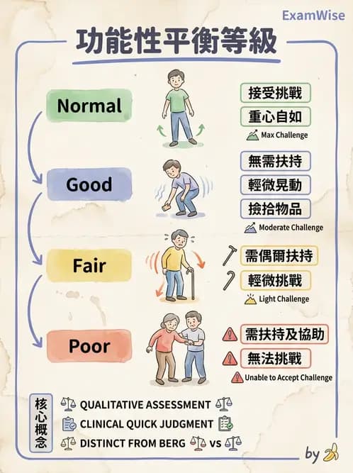 物治 - 神經物理治療評估工具 - AI 圖文解析預覽