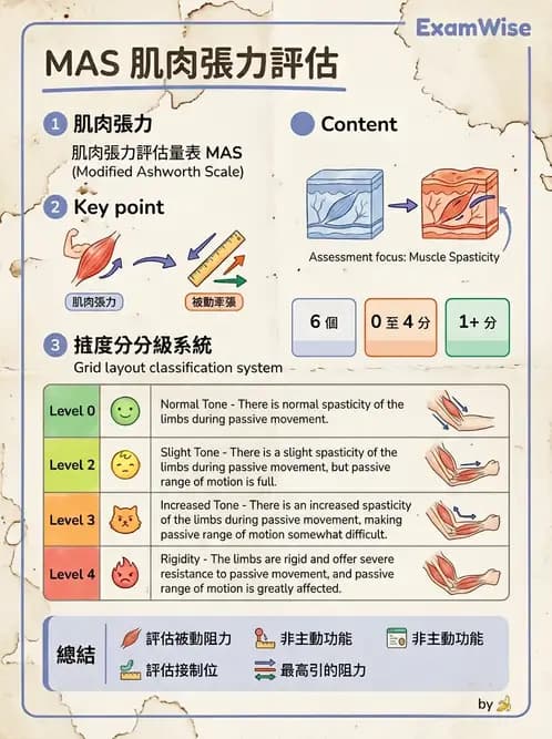 物治 - 神經物理治療評估工具 - AI 圖文解析預覽