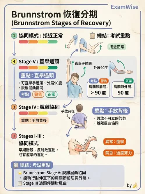 物治 - 腦中風動作評估與分期 - AI 圖文解析預覽