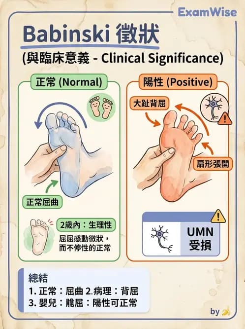 物治 - 神經物理治療評估工具 - AI 圖文解析預覽