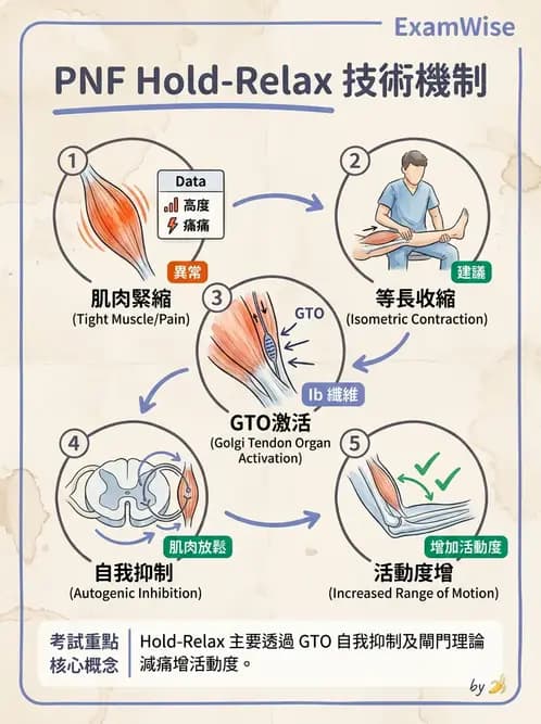 物治 - 神經治療學派技術 - AI 圖文解析預覽