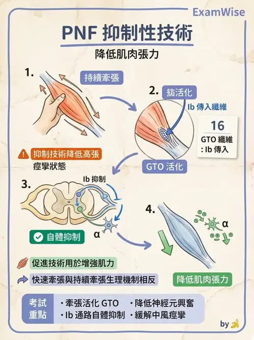 物治 - 神經治療學派技術 - AI 圖文解析預覽