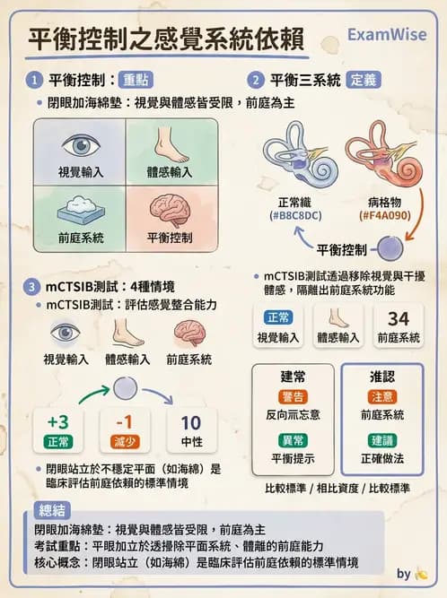 物治 - 前庭系統與前庭復健 - AI 圖文解析預覽