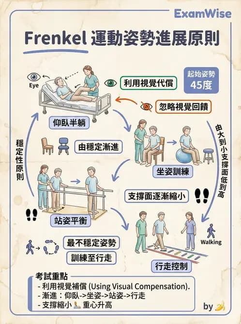 物治 - 小腦疾病物理治療 - AI 圖文解析預覽