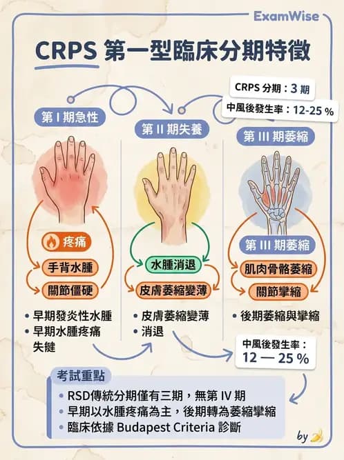 物治 - 腦中風上肢肩部與體適能 - AI 圖文解析預覽